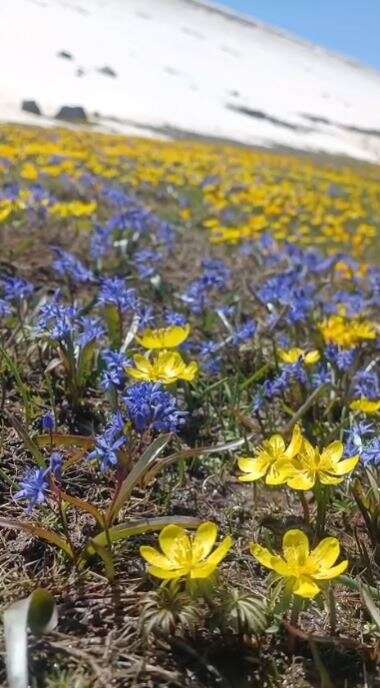 Konya’da doğa canlandı, kartpostallık bahar manzaraları çıktı 14